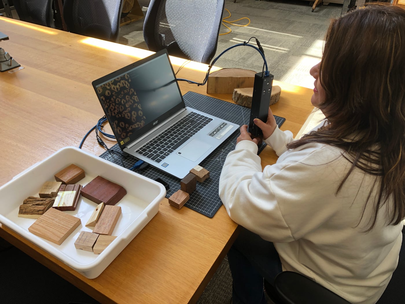 Forest Products Laboratory researcher images and identifies wood samples with a XyloTron